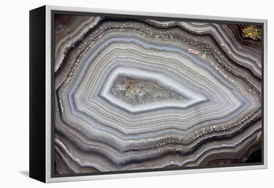 Banded Agate, Sammamish, Washington-Darrell Gulin-Framed Premier Image Canvas