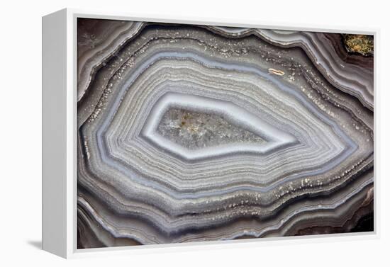 Banded Agate, Sammamish, Washington-Darrell Gulin-Framed Premier Image Canvas