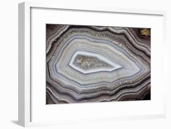 Banded Agate, Sammamish, Washington-Darrell Gulin-Framed Photographic Print