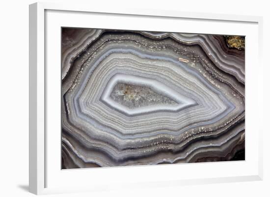 Banded Agate, Sammamish, Washington-Darrell Gulin-Framed Premium Photographic Print