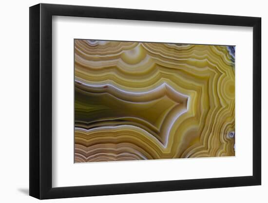 Banded Agate, Sammamish, Washington-Darrell Gulin-Framed Photographic Print