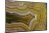 Banded Agate, Sammamish, Washington-Darrell Gulin-Mounted Photographic Print