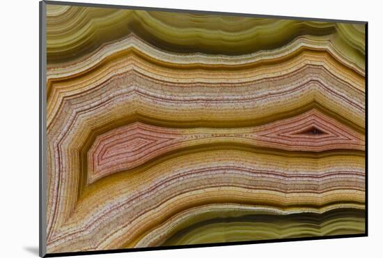 Banded Agate, Sammamish, Washington-Darrell Gulin-Mounted Photographic Print