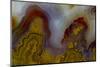 Banded Agate, Sammamish, Washington-Darrell Gulin-Mounted Photographic Print