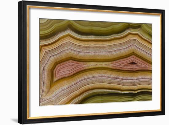 Banded Agate, Sammamish, Washington-Darrell Gulin-Framed Photographic Print