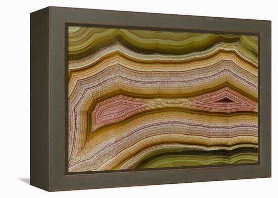 Banded Agate, Sammamish, Washington-Darrell Gulin-Framed Premier Image Canvas