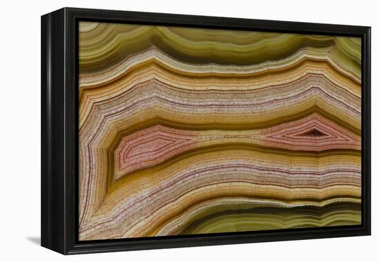 Banded Agate, Sammamish, Washington-Darrell Gulin-Framed Premier Image Canvas