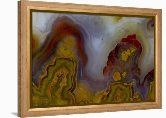 Banded Agate, Sammamish, Washington-Darrell Gulin-Framed Premier Image Canvas