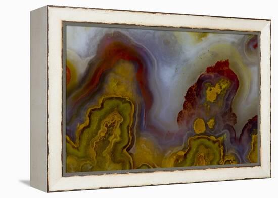 Banded Agate, Sammamish, Washington-Darrell Gulin-Framed Premier Image Canvas