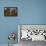 Banded Agate, Sammamish, Washington-Darrell Gulin-Framed Premier Image Canvas displayed on a wall