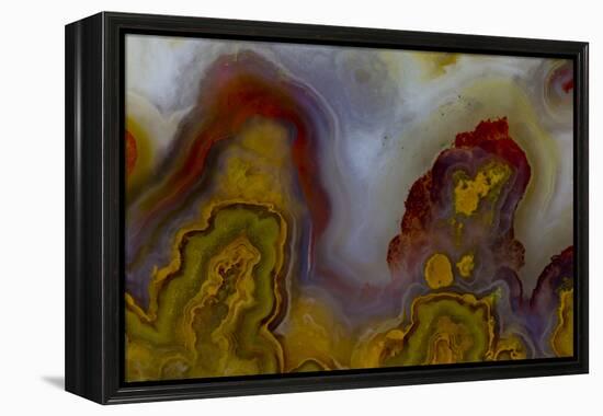 Banded Agate, Sammamish, Washington-Darrell Gulin-Framed Premier Image Canvas