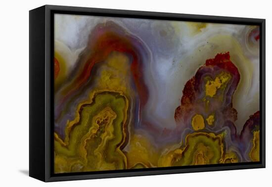 Banded Agate, Sammamish, Washington-Darrell Gulin-Framed Premier Image Canvas