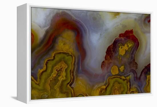 Banded Agate, Sammamish, Washington-Darrell Gulin-Framed Premier Image Canvas