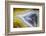 Banded Agate, Sammamish, Washington-Darrell Gulin-Framed Photographic Print