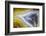 Banded Agate, Sammamish, Washington-Darrell Gulin-Framed Photographic Print