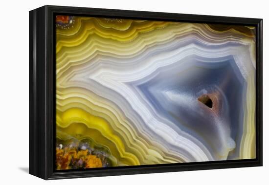 Banded Agate, Sammamish, Washington-Darrell Gulin-Framed Premier Image Canvas