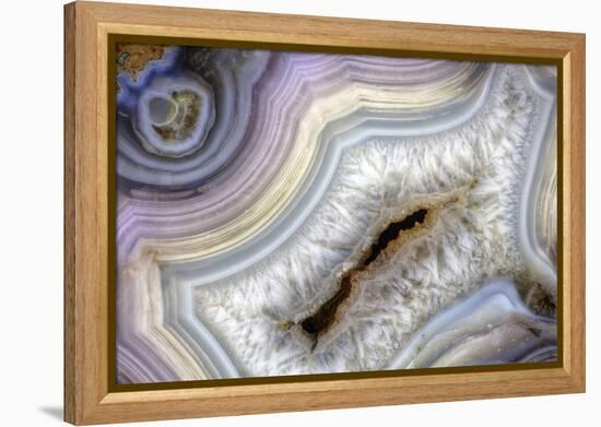 Banded Agate, Sammamish, Washington-Darrell Gulin-Framed Premier Image Canvas