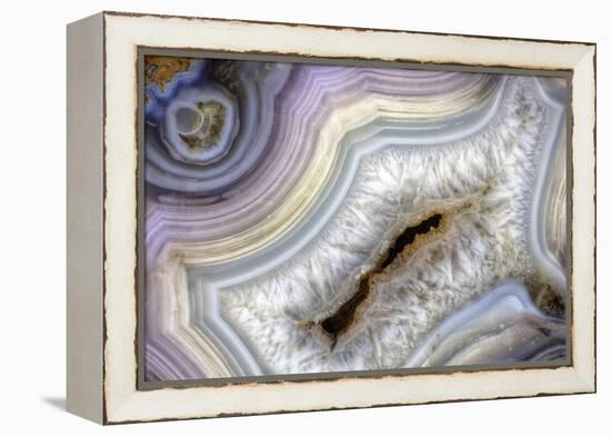 Banded Agate, Sammamish, Washington-Darrell Gulin-Framed Premier Image Canvas