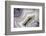 Banded Agate, Sammamish, Washington-Darrell Gulin-Framed Photographic Print