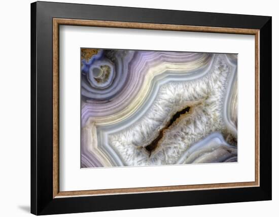 Banded Agate, Sammamish, Washington-Darrell Gulin-Framed Photographic Print