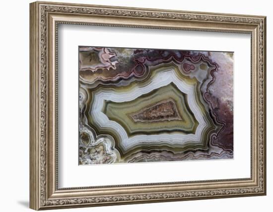 Banded Agate, Sammamish, Washington-Darrell Gulin-Framed Photographic Print