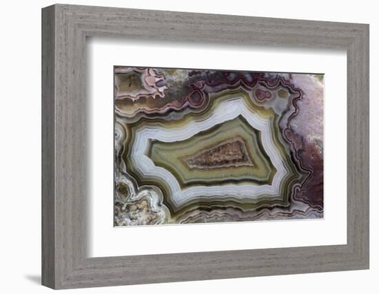 Banded Agate, Sammamish, Washington-Darrell Gulin-Framed Photographic Print