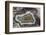 Banded Agate, Sammamish, Washington-Darrell Gulin-Framed Photographic Print