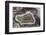 Banded Agate, Sammamish, Washington-Darrell Gulin-Framed Photographic Print