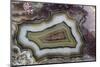 Banded Agate, Sammamish, Washington-Darrell Gulin-Mounted Photographic Print