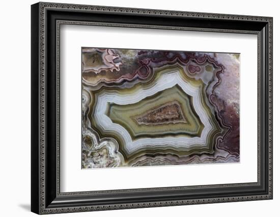 Banded Agate, Sammamish, Washington-Darrell Gulin-Framed Photographic Print