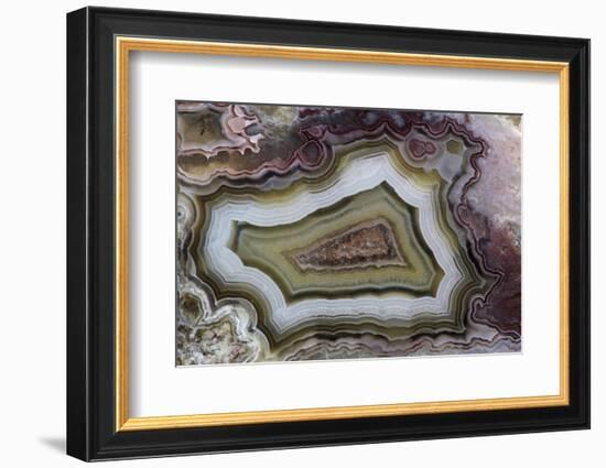 Banded Agate, Sammamish, Washington-Darrell Gulin-Framed Photographic Print