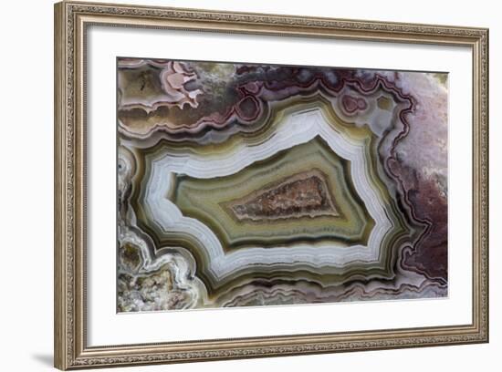 Banded Agate, Sammamish, Washington-Darrell Gulin-Framed Photographic Print