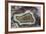 Banded Agate, Sammamish, Washington-Darrell Gulin-Framed Photographic Print