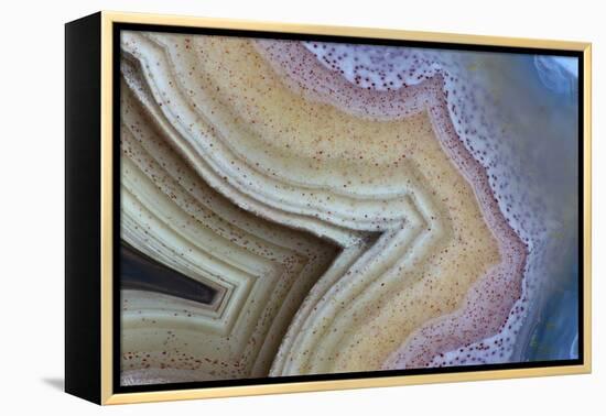 Banded Agate, Sammamish, Washington-Darrell Gulin-Framed Premier Image Canvas