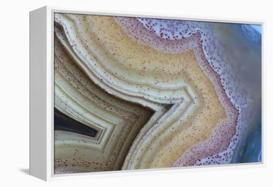 Banded Agate, Sammamish, Washington-Darrell Gulin-Framed Premier Image Canvas