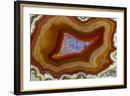 Banded Agate, Sammamish, Washington-Darrell Gulin-Framed Photographic Print