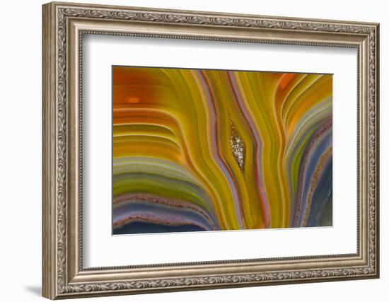 Banded Agate, Sammamish, Washington-Darrell Gulin-Framed Photographic Print