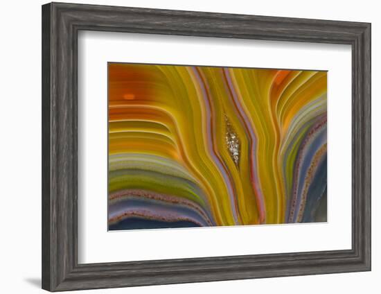 Banded Agate, Sammamish, Washington-Darrell Gulin-Framed Photographic Print