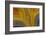 Banded Agate, Sammamish, Washington-Darrell Gulin-Framed Photographic Print