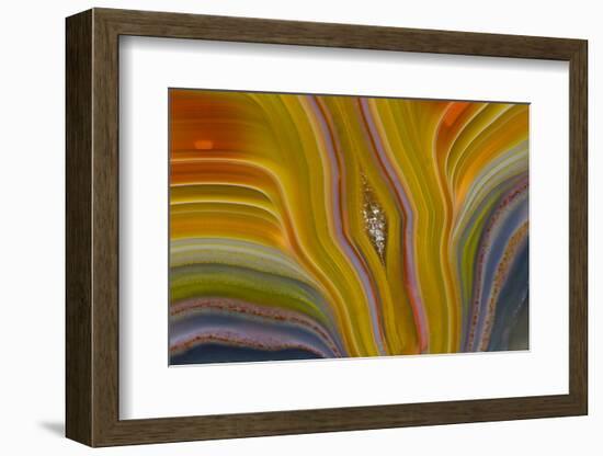 Banded Agate, Sammamish, Washington-Darrell Gulin-Framed Photographic Print