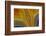 Banded Agate, Sammamish, Washington-Darrell Gulin-Framed Photographic Print