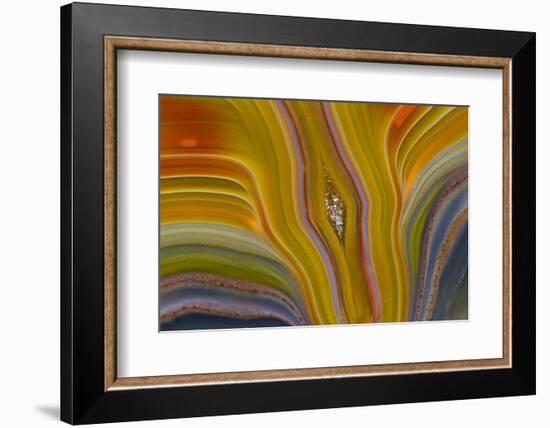 Banded Agate, Sammamish, Washington-Darrell Gulin-Framed Photographic Print