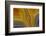 Banded Agate, Sammamish, Washington-Darrell Gulin-Framed Photographic Print