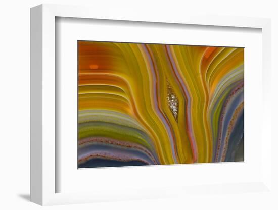 Banded Agate, Sammamish, Washington-Darrell Gulin-Framed Photographic Print