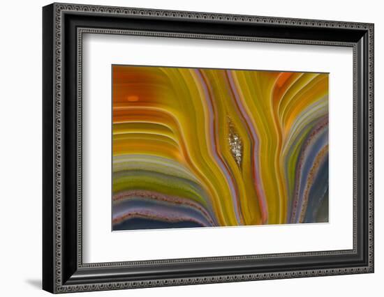 Banded Agate, Sammamish, Washington-Darrell Gulin-Framed Photographic Print