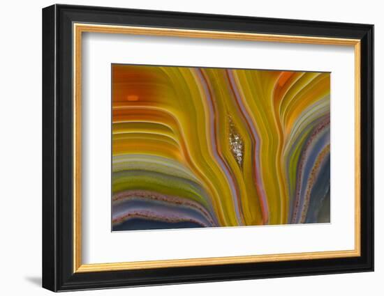 Banded Agate, Sammamish, Washington-Darrell Gulin-Framed Photographic Print