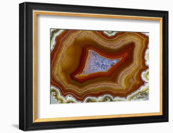 Banded Agate, Sammamish, Washington-Darrell Gulin-Framed Photographic Print