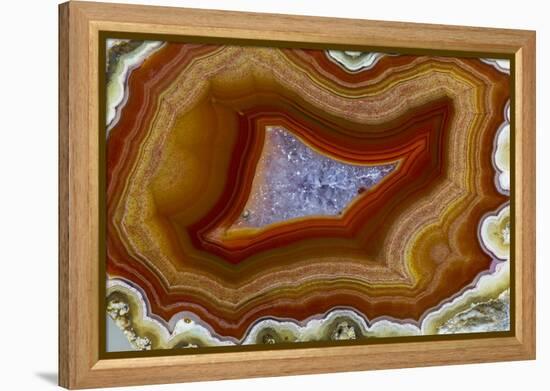 Banded Agate, Sammamish, Washington-Darrell Gulin-Framed Premier Image Canvas