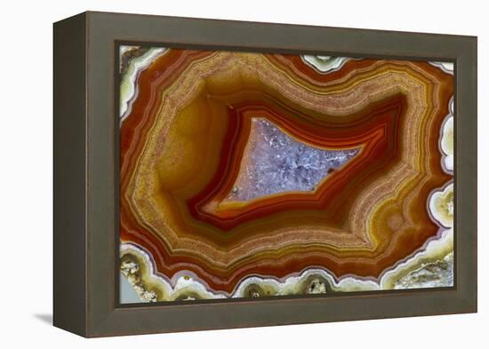 Banded Agate, Sammamish, Washington-Darrell Gulin-Framed Premier Image Canvas