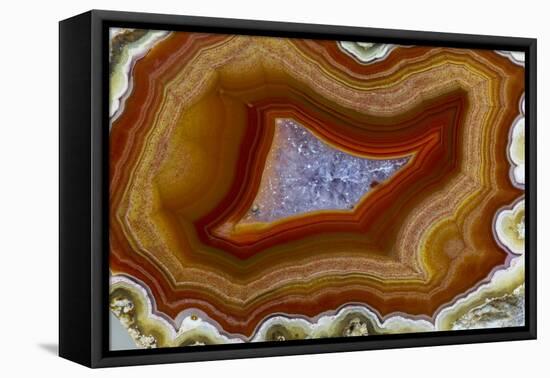 Banded Agate, Sammamish, Washington-Darrell Gulin-Framed Premier Image Canvas